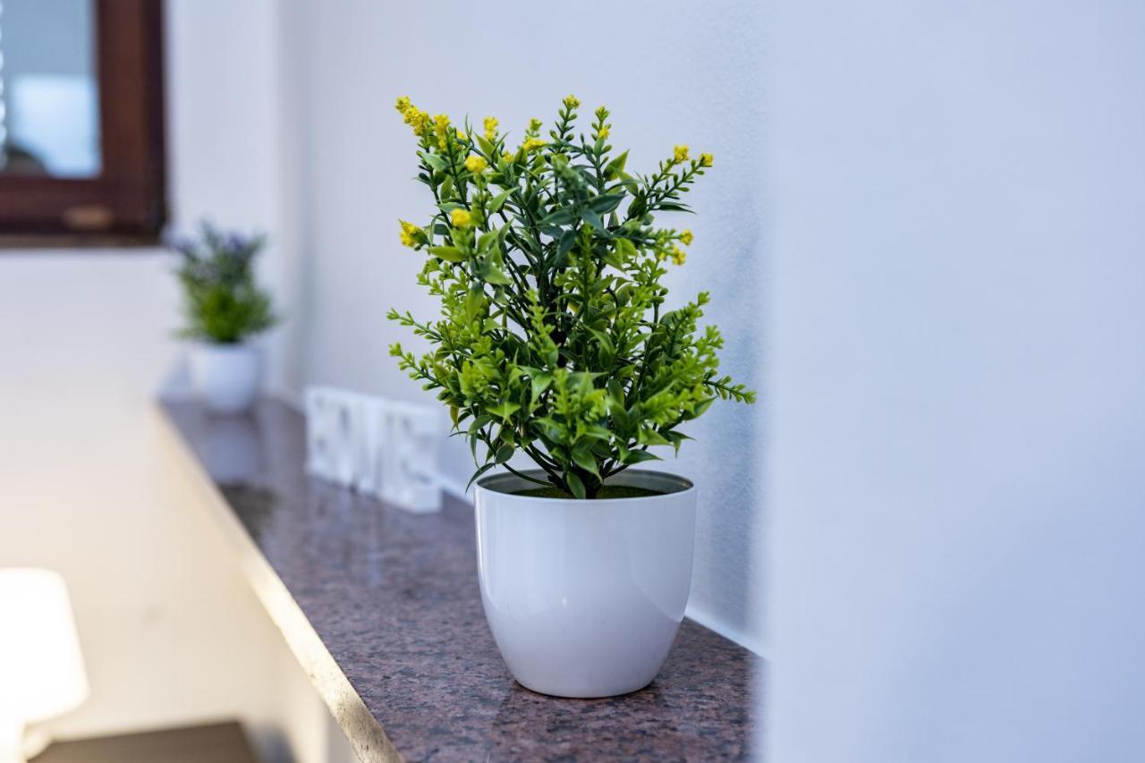 Santa Marta Apartments Mediolan Zewnętrze zdjęcie